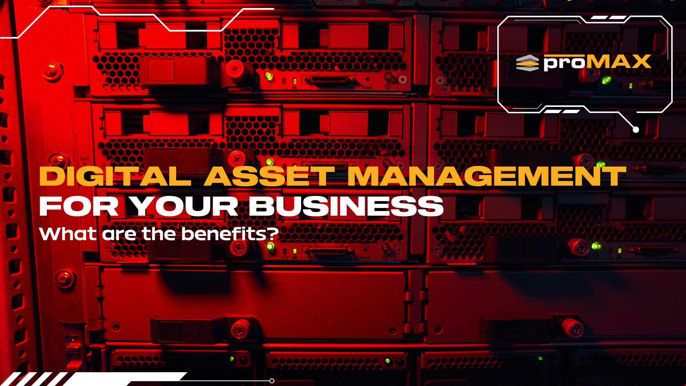 Why your Business Should be Using a Digital Asset Management System